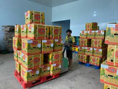Wholesaler Cheap Fresh Durians Monthong Fresh Durian Flesh , Thai fruit Organic Packed In Box Vietnam Manufacturer, King Durian - Image 4