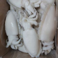 Top Quality Cuttlefish Whole Frozen, Frozen Cuttle Fish For Sales – product photo 5, product detail gallery