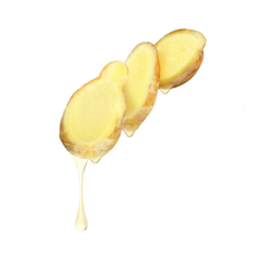 Best Price Ginger Ginger Old Fresh Ginger Dried Ginger Organic Ginger Powder Made In Vietnam – product photo 2, product detail gallery