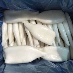 Best quality frozen whole squid cleaned for wholesale to export - Image 3