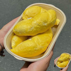 Wholesaler Fresh Durians Monthong Fresh Durian Flesh , Thai fruit Organic Packed In Box Vietnam Manufacturer, King Durian - Image 6