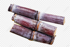 (HOT SALE 2023) Frozen IQF Sugar Cane Peeled Best Price From Vietnam - Image 2