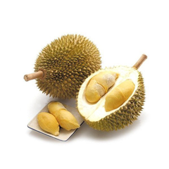 Wholesale price for Fresh Durian Fruit from Vietnam High quality Fresh Fruit Durian - Image 1