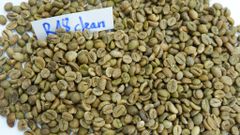Vietnam Robusta Green Coffee Beans - High Quality Robusta Coffee good price by Vietnam exporters seasoning – product photo 3, product detail gallery