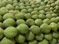 Wholesaler Cheap Fresh Durians Monthong Fresh Durian Flesh , Thai fruit Organic Packed In Box Vietnam Manufacturer, King Durian - Image 6