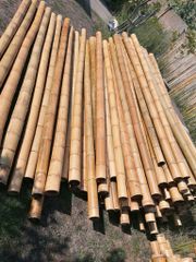 Bamboo Pole Hot Sale Agricultural Cheap Price Bamboo Poles for Indoor Outdoor Decoration - Image 2