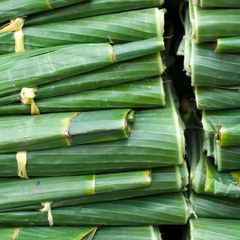 Freeze Frozen IQF Banana Leaves Leaf From Vietnam Wholesale Agriculture Product Best Price WhatsApp +84 354987203 (Ms.Mie) - Image 3
