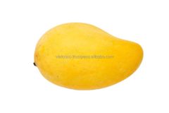 Fresh Mango Soft Dried Mango Tropical Fruit - Image 5