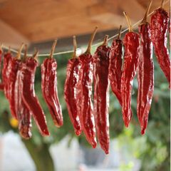Top Product 100% Pure Dried Chili Best Natural Hot Dry Red Chili Top Quality Dried Red Chili Factory Price - Image 5