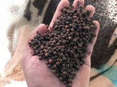 High Quality Black pepper FAQ Wholesale Spice Dried Black Pepper Vietnam Pepper Quality Natural - Image 2