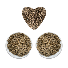 ARABICA CATIMOR GREEN BEANS FULLY-WASHED Premium Quality with Small MOQ from Highland Low Price Central of Vietnam – product photo 4, product detail gallery