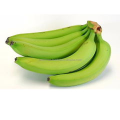 Get Your Fresh Bananas Exported: Find the Best Fruit & Cavendish Banana Export Services Today - Image 6