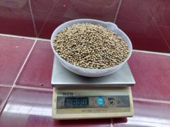 wholesale white pepper 50kg bags pepper black and white good ingredients white pepper powder – product photo 3, product detail gallery