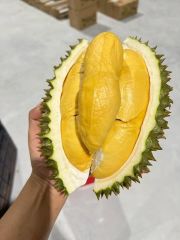 The Best Fresh Durian Ri6, Durian fruit , Frozen Durian, Organic Packed In Box Vietnam Manufacturer – product photo 6, product detail gallery