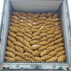 New 2023 Crop Vietnam Fresh Ginger Vietnam Spices Old Ginger 250g Ready For Delivery OEM Service - Image 6