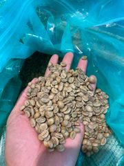 Unroasted Arabica Coffee Beans Wash Process Natural Flavor High Quality 18 Month Shelf Life from Di Linh Plateau of Vietnam – product photo 6, product detail gallery