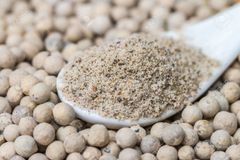 wholesale white pepper 50kg bags pepper black and white good ingredients white pepper powder – product photo 6, product detail gallery
