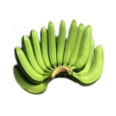 Fresh green cavendish banana from Vietnam at competitive price - Image 1