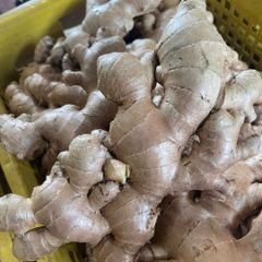 New 2023 Crop Vietnam Fresh Ginger Vietnam Spices Old Ginger 250g Ready For Delivery OEM Service - Image 2
