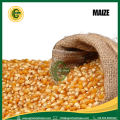 Product thumbnail 22