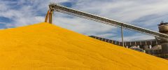 Biofuels - Image 1
