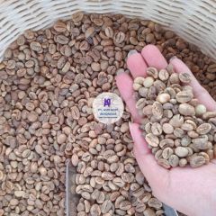 Robust Gayo Grade 1 | Natural | Export – product photo 1, product detail gallery