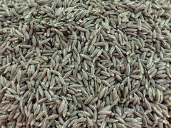 Cumin Seeds – product photo 1, product detail gallery