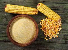 Corn DDGS - Image 1