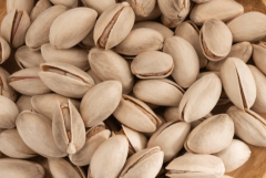 Premium Iranian Pistachios | Export-Quality Bulk Supply from Iran - Image 3