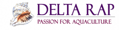 Delta Rap LTD