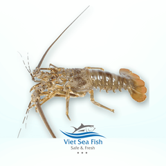 Flower Lobster – product photo 1, product detail gallery
