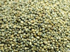 Green Millets - Image 1