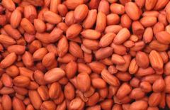 Peanuts - Image 4