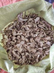 SLICED DRIED GINGER VIETNAM CHEAP PRICE FOR EXPORT IN BULK FACTORY PRICE HOT SALE 2023 ORGANIC – product photo 6, product detail gallery