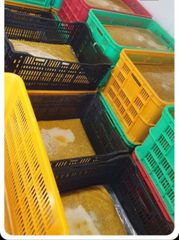 Passion Export Frozen Golden Passion Fruit from Vietnam wholesale High Quality (Certification: GAP, HACCP...) - 100% Organic - Image 2