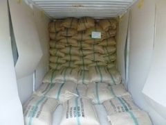 ROBUSTA COFFEE BEANS SCR#13, VIETNAM ORIGIN, GOOD QUALITY, REASONABLE PRICE, CROP 2023-2024 – product photo 6, product detail gallery
