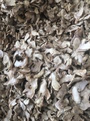 SLICED DRIED GINGER VIETNAM CHEAP PRICE FOR EXPORT IN BULK FACTORY PRICE HOT SALE 2023 ORGANIC – product photo 2, product detail gallery