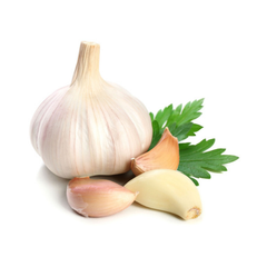 Hot Item Garlic Used As A Seasoning For Dishes 100% Dried Garlic Organic Packed In Box From Vietnam Manufacturer - Image 1