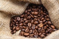 Best sale Organic Robusta and Arabica Coffee Beans Vietnam Coffee Bean Roasted,green Bulk Packaging 60 Kg – product photo 3, product detail gallery