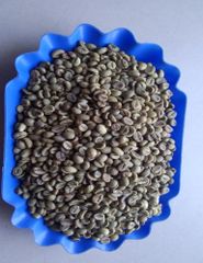 ROBUSTA GREEN COFFEE BEANS SCR#16, VIETNAM ORIGIN, HIGH QUALITY, REASONABLE PRICE (used to make hot beverage, etc.) - Image 1