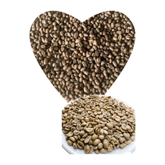 Green Arabica Coffee Beans Wash Process with 98% Maturity Hot Selling Cherries Made In Vietnam Low Price Organic – product photo 3, product detail gallery
