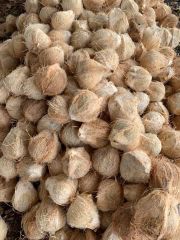 Semi husked Coconut Fresh from Vietnam - 100% High Quality - Best Price for export – product photo 3, product detail gallery