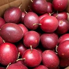 Frozen Golden Passion Fruit from Vietnam Passion Export wholesale High Quality (Certification: GAP, HACCP...) - 100% Organic - Image 1