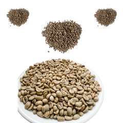 Green Arabica Coffee Beans Wash Process with 98% Maturity Hot Selling Cherries Made In Vietnam Low Price Organic – product photo 5, product detail gallery