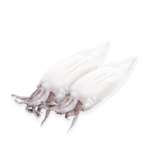 Hot product frozen squid cleaned for export from vietnam – product photo 2, product detail gallery