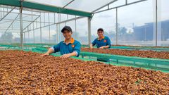 Company – thumbnail 6 of 6, supplier detail gallery