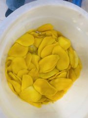 Attachment 4