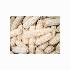 WHITE MAIZE / CORN WHITE MAIZE/CORN` Packaging Bulk Grade High Quality Brand Name DCR Harvest - Image 1
