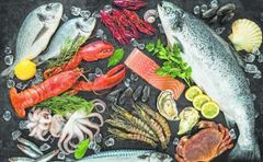 Fishery Products - Image 1