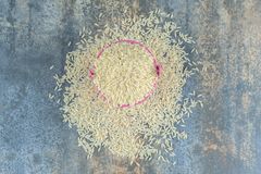    1121 Sella Basmati Rice – product photo 3, product detail gallery